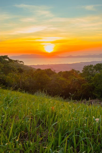 Do I Have a Mental Health Disorder?