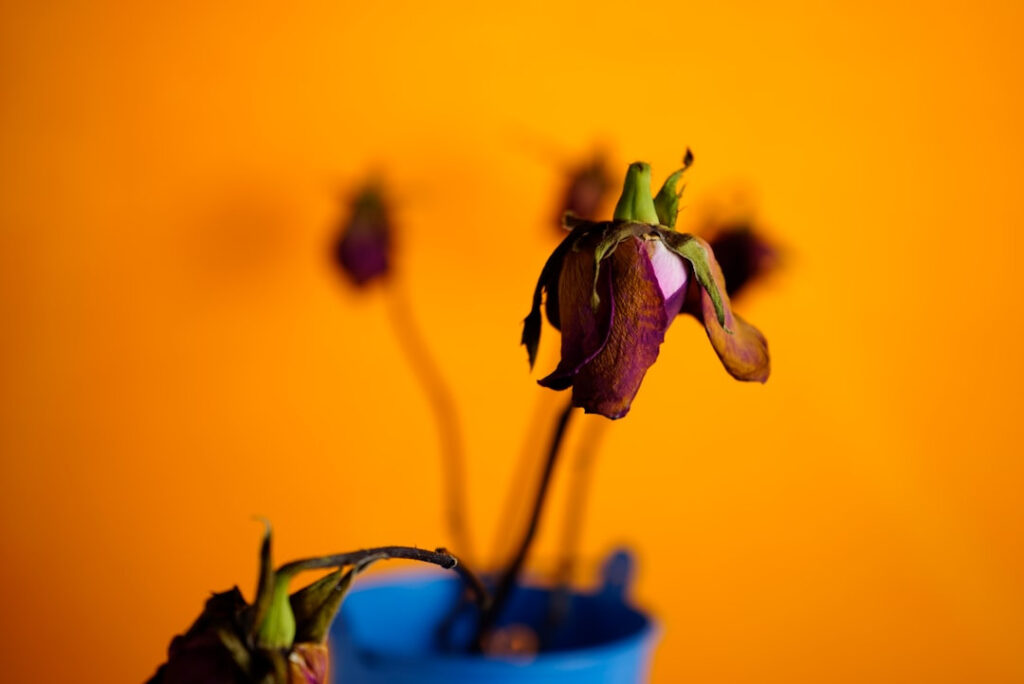 5 Bad Habits in Addiction Recovery and How to Avoid Them