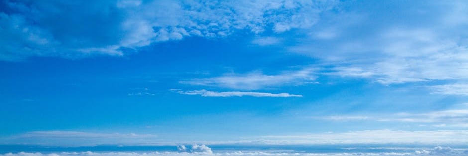 Supporting Clients With Autism and Helping Them Navigate Treatment